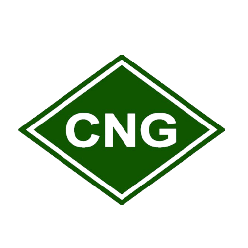 CNG Bus