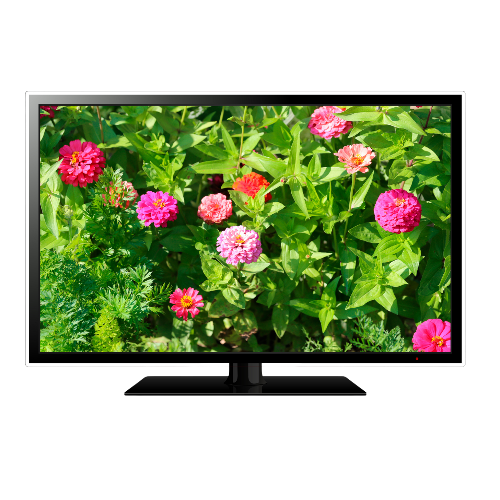 Televizorlar və aksesuarlar